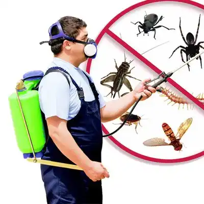 pest control Wrightstown